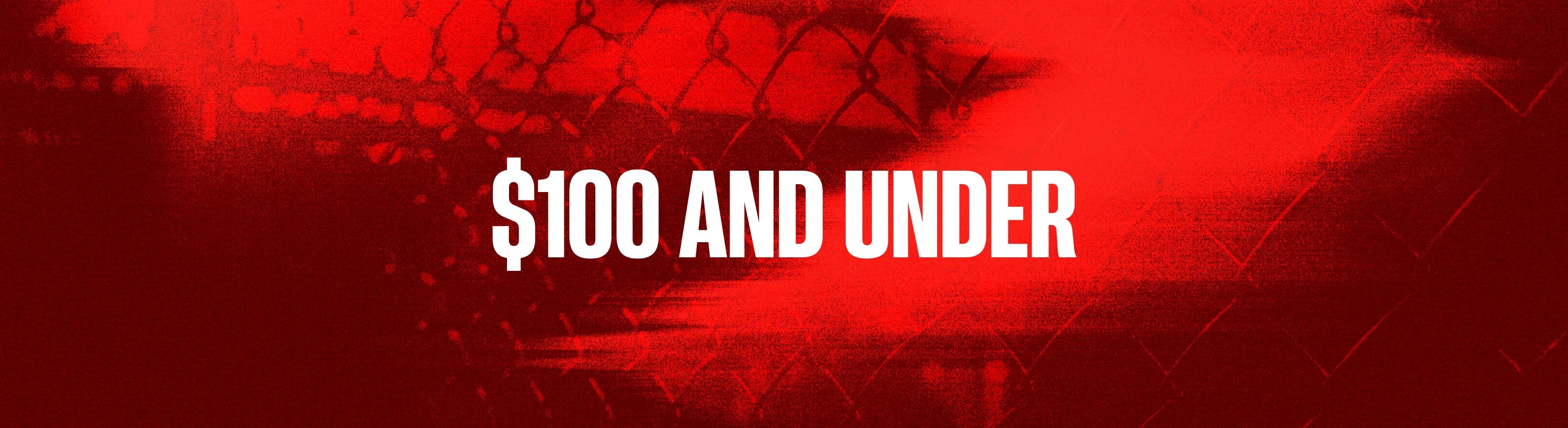 $100 AND UNDER