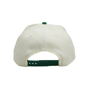 NEW ERA 970SS REVERSED ARCH - BOSTON CELTICS