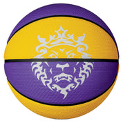 NIKE LEBRON PLAYGROUND BALL