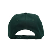 NEW ERA 970SS - BOSTON CELTICS