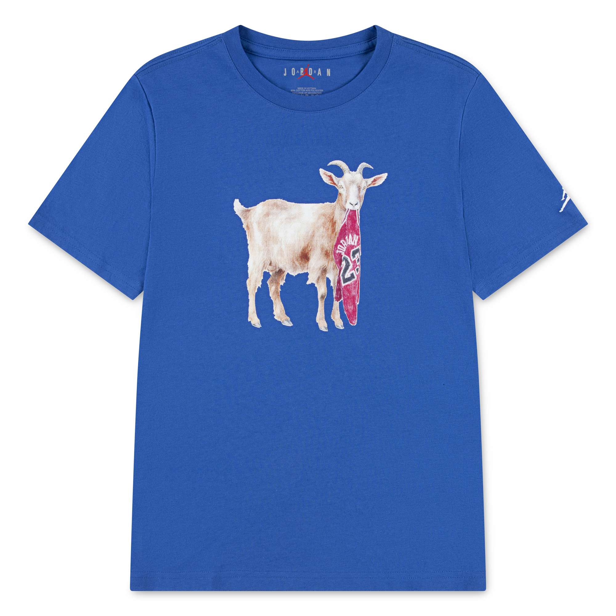 JORDAN FLT GOAT SS CREW - YOUTH