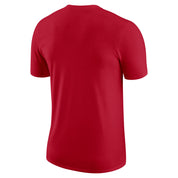 NIKE TORONTO RAPTORS ESSENTIAL LOGO TEE