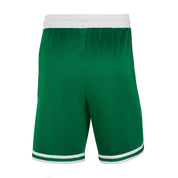 NIKE BOSTON CELTICS SWINGMAN SHORTS ICON 2018