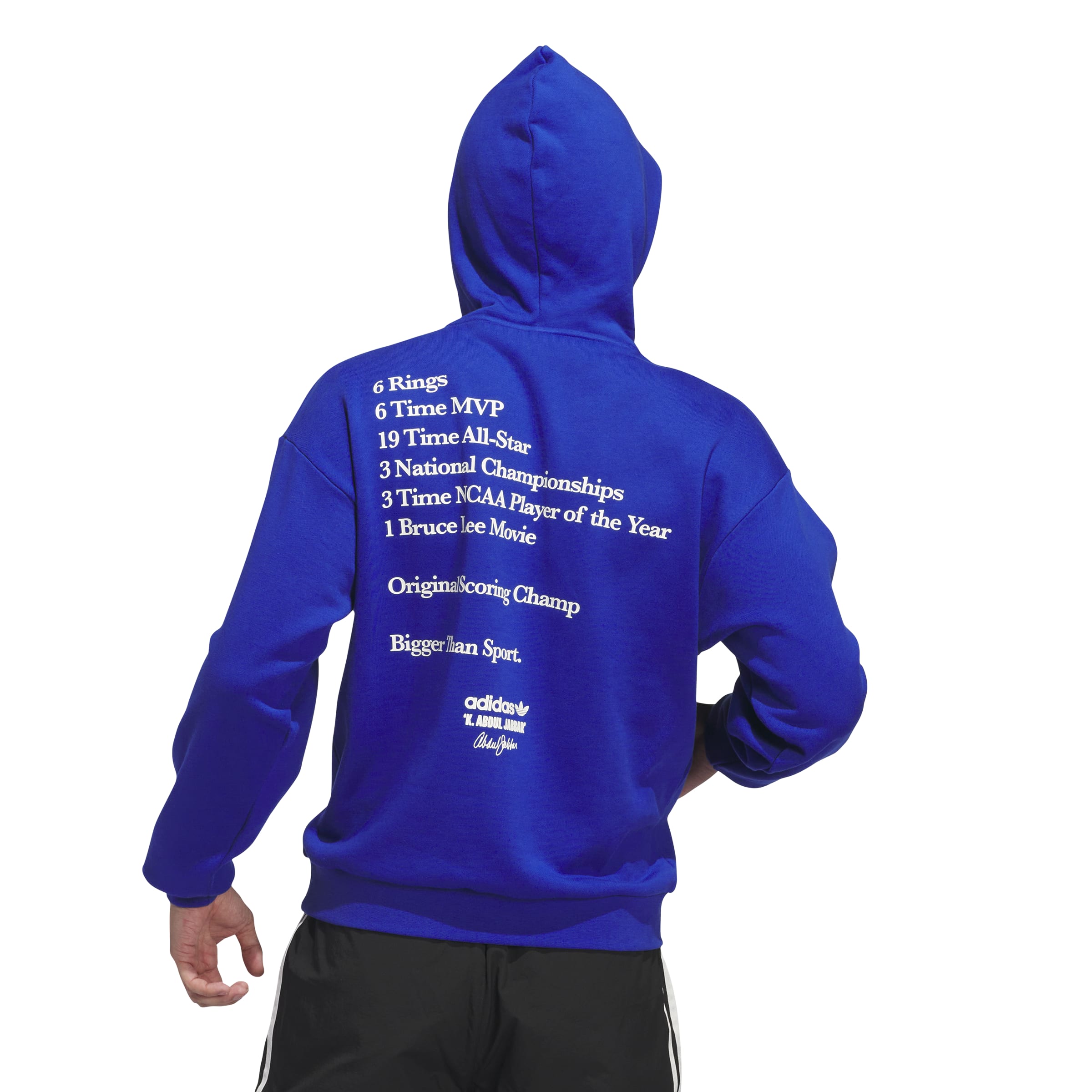 ADIDAS JABBAR ACCOLADES HOODIE