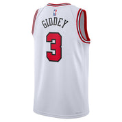 NIKE BULLS ASSOCIATION SWINGMAN JERSEY - JOSH GIDDEY - YOUTH