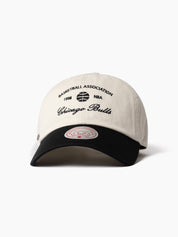 MITCHELL & NESS BASKETBALL ASSOC DAD HAT BULL