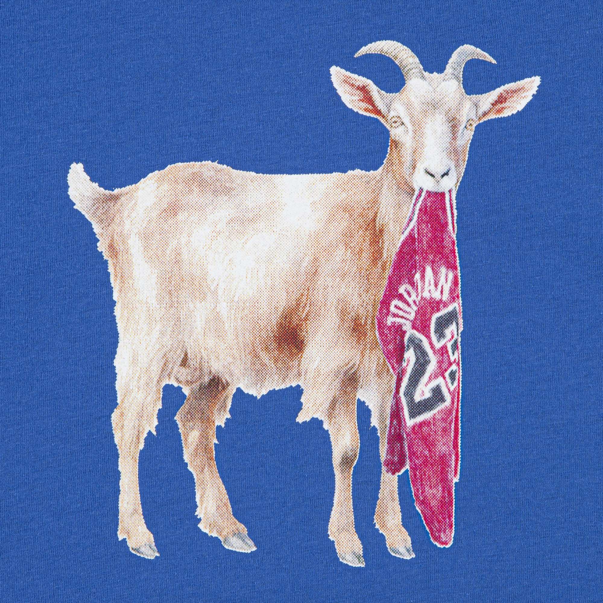 JORDAN FLT GOAT SS CREW - YOUTH