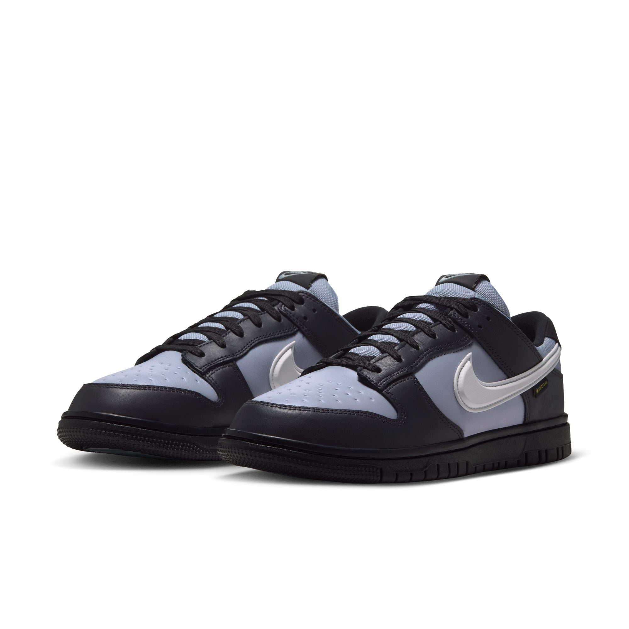 NIKE DUNK LOW GTX