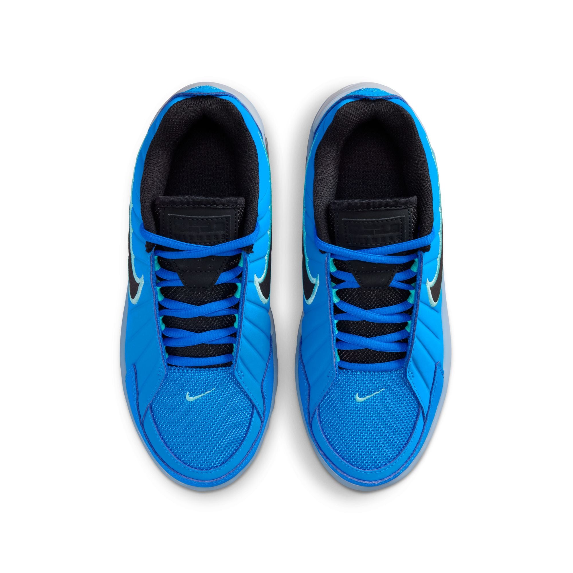 NIKE LEBRON WITNESS IX 'BLUE' YOUTH