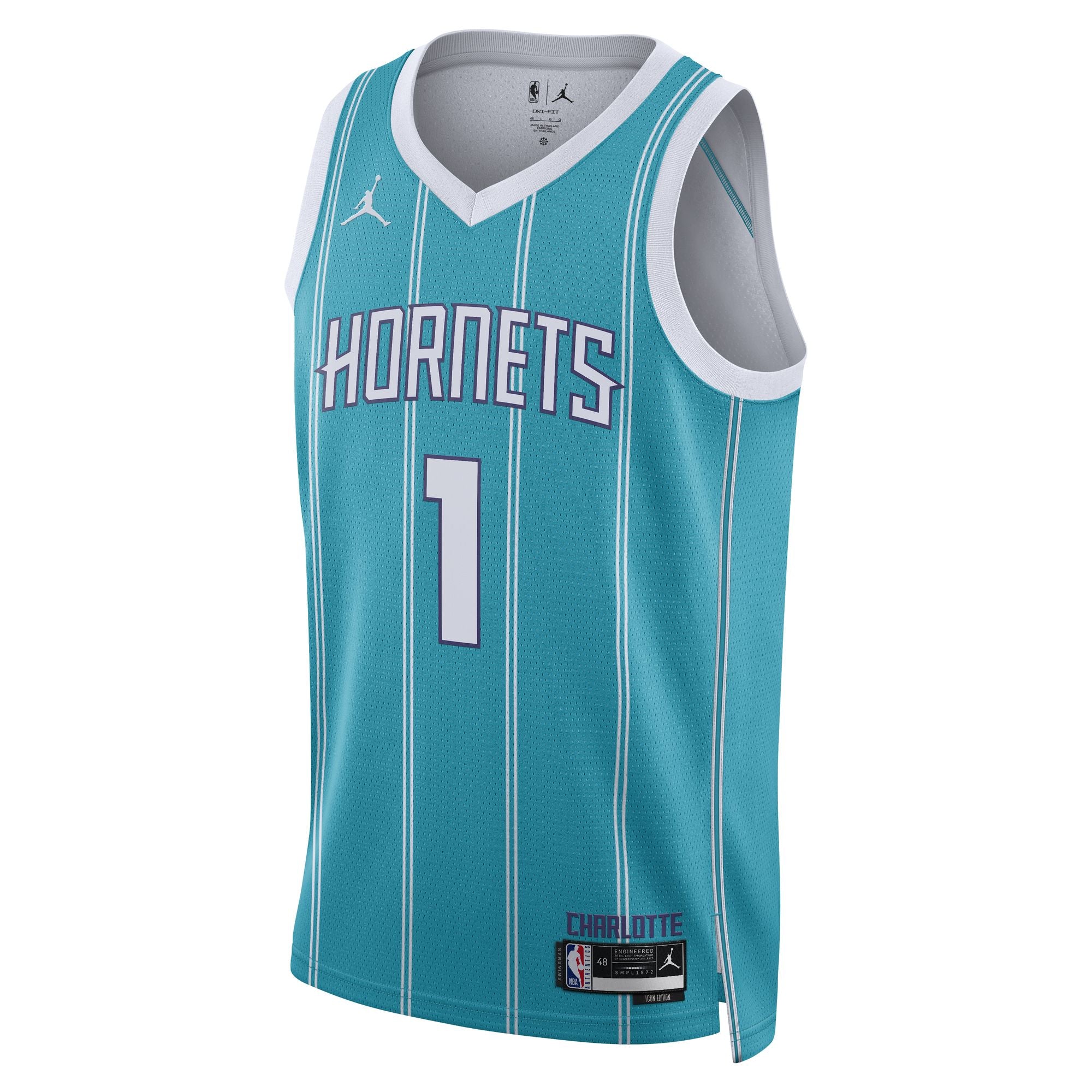 NIKE CHARLOTTE HORNETS SWINGMAN JERSEY ICON 2022