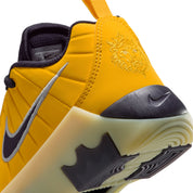 NIKE LEBRON WITNESS IX - KIDS